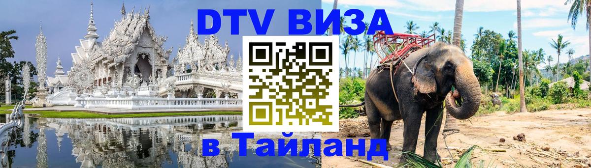 Сколько стоит DTV виза — актуальные цены, оформление даже без документов - 